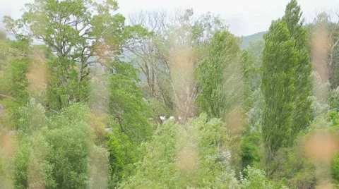 Wedding Decorations Video stock 55402969