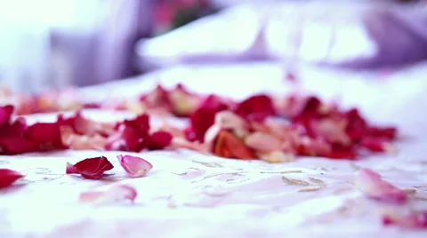 Wedding decorations Stock Footage 68906386