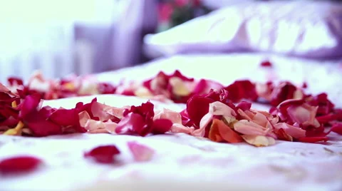 Wedding decorations Stock Footage 68906393