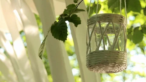 Wedding decorations Stock Footage 119289249