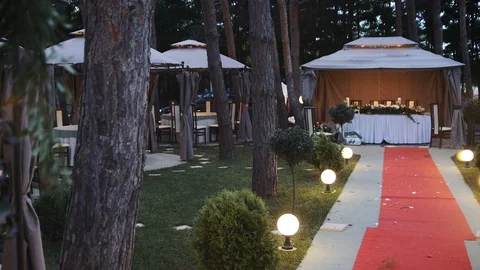 Wedding Decorations In The Forest With Red Carpet Vídeo Stock 88169487