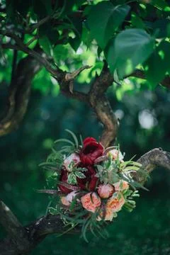 Wedding decorations. Foto stock