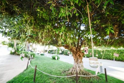 Wedding decorations in rustic style Stock Photos