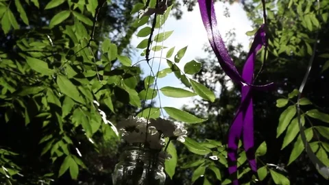 Wedding decorations in the tree Stock Footage 71889535