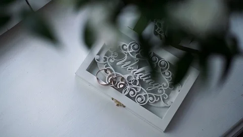Wedding decorative box for wedding rings Stock Footage 114022634