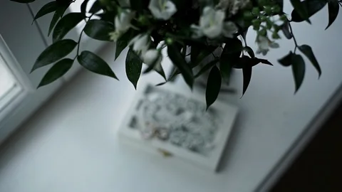 Wedding decorative box for wedding rings Stock Footage 114022662