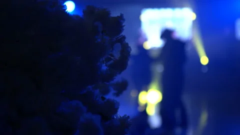 Wedding Depth of Field People Dancing with Lights Flashing Video stock 221367156