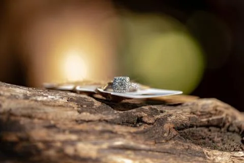 Wedding diamond ring close-up on a background of a tree with a texture. Foto stock