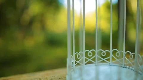 Wedding different decor, straw. Outdoors wedding ceremony, focus, closeup. Stock Footage 82979843