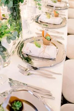 Wedding dining table. Stock Photos