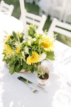 Wedding dining table. Stock Photos