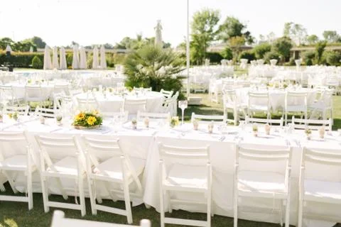 Wedding dining table. Stock Photos