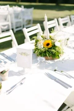 Wedding dining table. Stock Photos