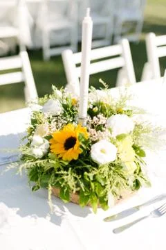 Wedding dining table. Stock Photos