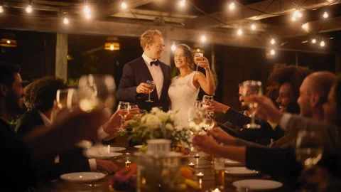 Wedding Dinner Celebrations Stock Footage 168480671