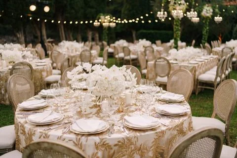 Wedding dinner table reception. Elegant tables for guests with cream tablecloths 写真素材
