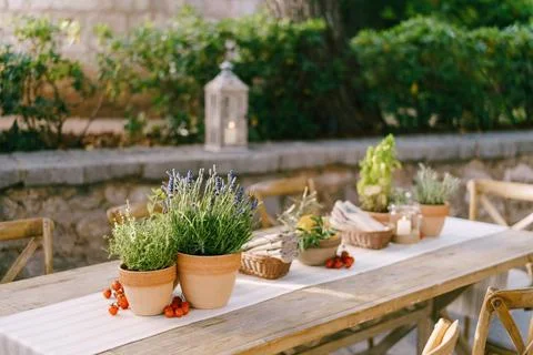 Wedding dinner table reception at sunset outside. Ancient rectangular wood... Foto stock