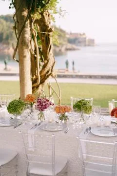 Wedding dinner table reception. A very long table for guests with a white Foto stock