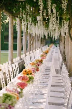 Wedding dinner table reception. A very long table for guests with a white Stockfoto's