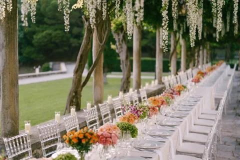 Wedding dinner table reception. A very long table for guests with a white Foto stock