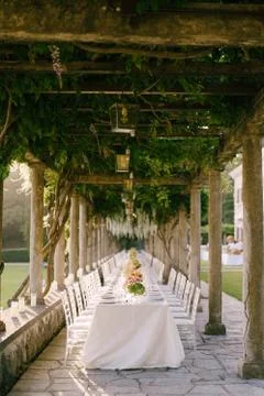 Wedding dinner table reception. A very long table for guests with a white Stockfoto's