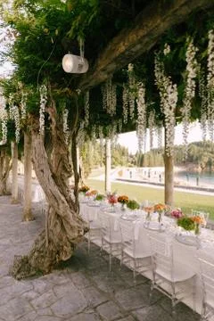 Wedding dinner table reception. A very long table for guests with a white Stockfoto's