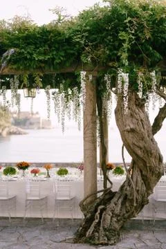Wedding dinner table reception. A very long table for guests with a white Foto stock