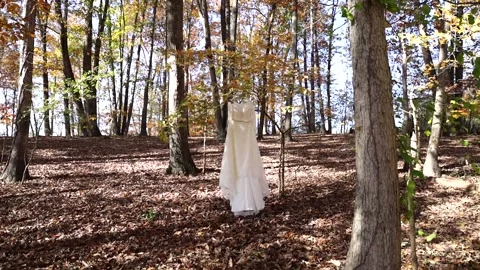Wedding Dress Alone in the Forest 스톡 동영상 145228068