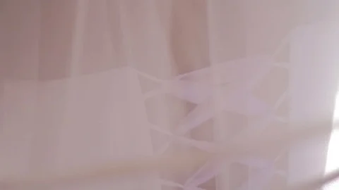Wedding Dress Back Stock Footage 77477040
