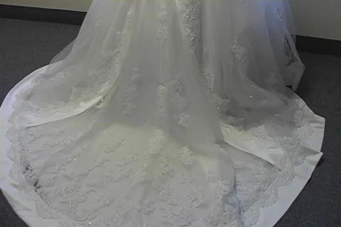 Wedding Dress Back1 Video stock 65716