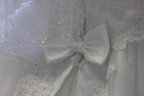 Wedding Dress Back2 Video stock 65771