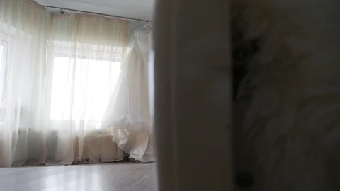 Wedding dress up bride Stock Footage 102121968