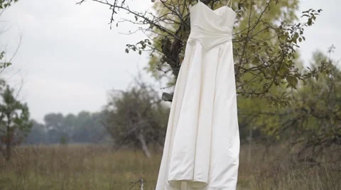 Wedding dress Stock Footage 56249009