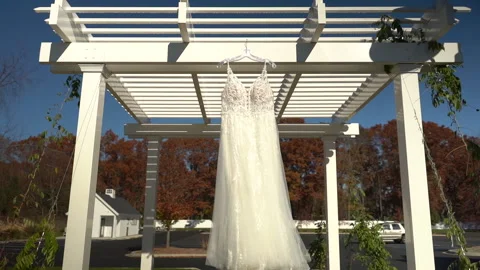 Wedding Dress Stock Footage 223546531