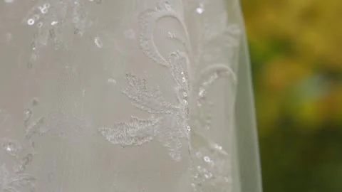 Wedding Dress Stock Footage 333697596