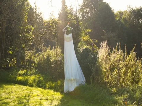 Wedding dress hanging on the tree Stock Footage 81184796