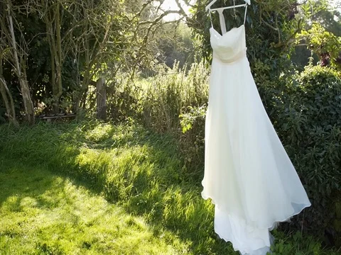 Wedding dress hanging on the tree 動画素材 81185815