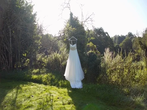 Wedding dress hanging on the tree Vídeos de archivo 81189689