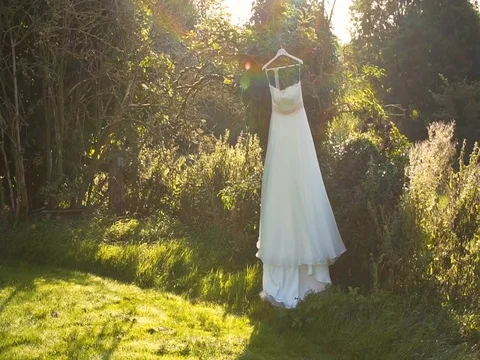Wedding dress hanging on the tree Stock Footage 81191027