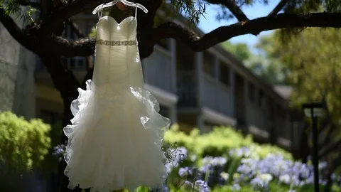 Wedding dress on a tree Stock Footage 101679688
