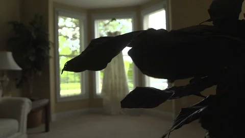 Wedding Dress in Window Stock Footage 87094352