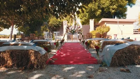 Wedding drone Stock Footage 141158417