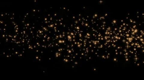 Wedding Effects Sepia Stock Footage 8661784