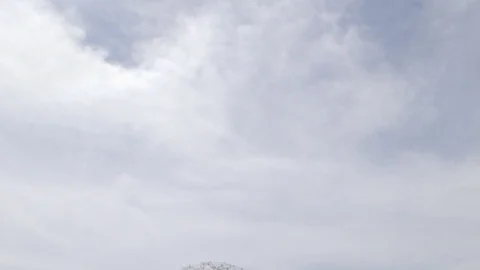 Wedding event Science World Stock Footage 81095951