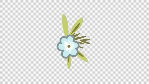 Wedding Floral Elements Stock Footage 169984472