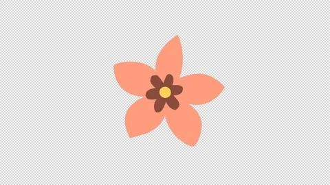 Wedding Floral Elements Stock Footage 169984523