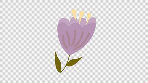 Wedding Floral Elements Stock Footage 169984590