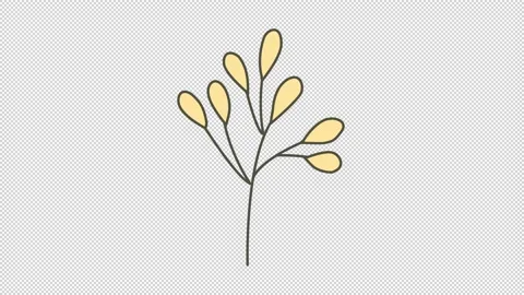 Wedding Floral Elements Stock Footage 169984605