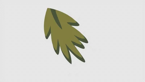 Wedding Floral Elements Stock Footage 169984606