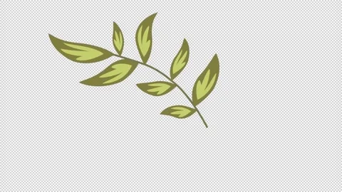 Wedding Floral Elements Stock Footage 169984667